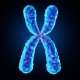 cromosomico