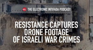 Imágenes de drones capturados por gazatíes muestran crímenes de guerra israelíes en Gaza - The Electronic Intifada (ENG)